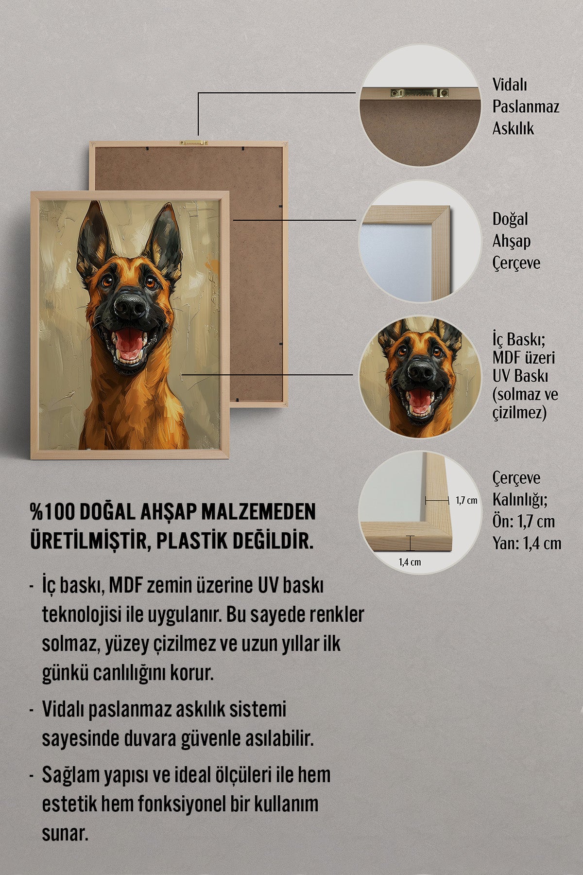 HOMEPACK Neşeli Koruyucu Tablo  BEK-8599