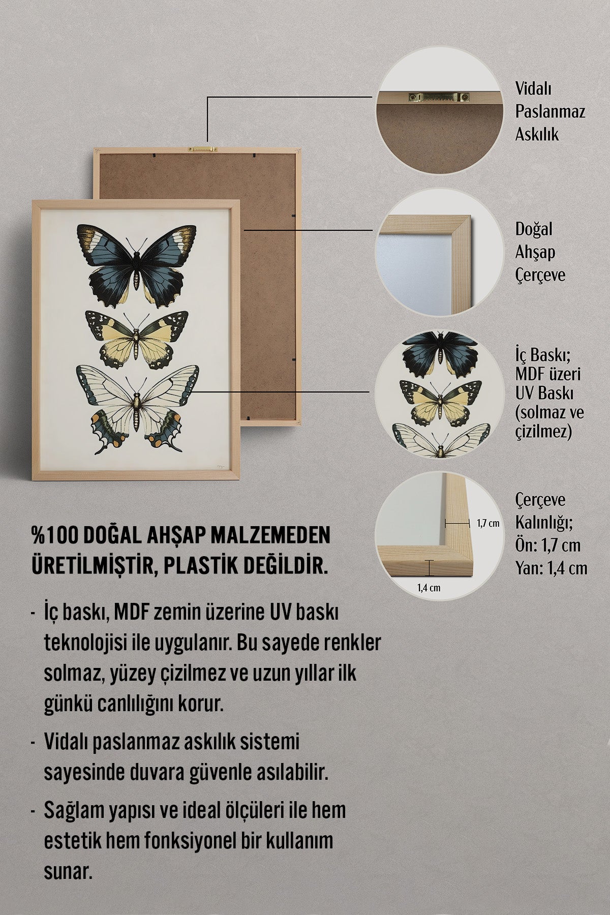 HOMEPACK Kelebeklerin Zarafeti Tablo  BEK-8518