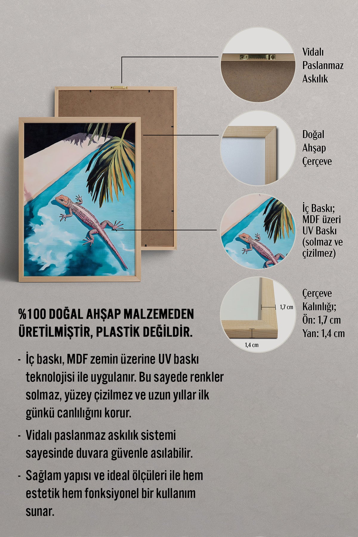 HOMEPACK Güneşlenen Kertenkele Tablo  BEK-8604