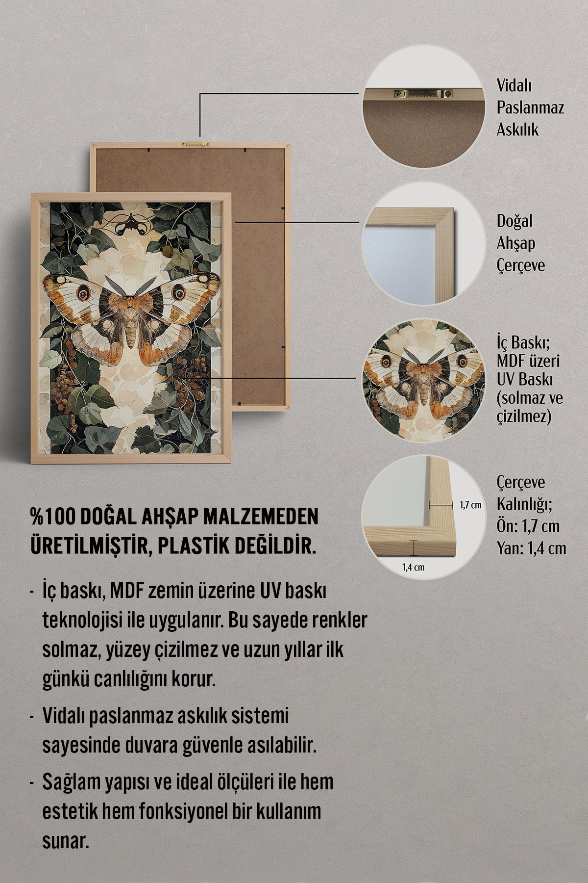 HOMEPACK Gizemli Kanatlar Tablo  BEK-8606