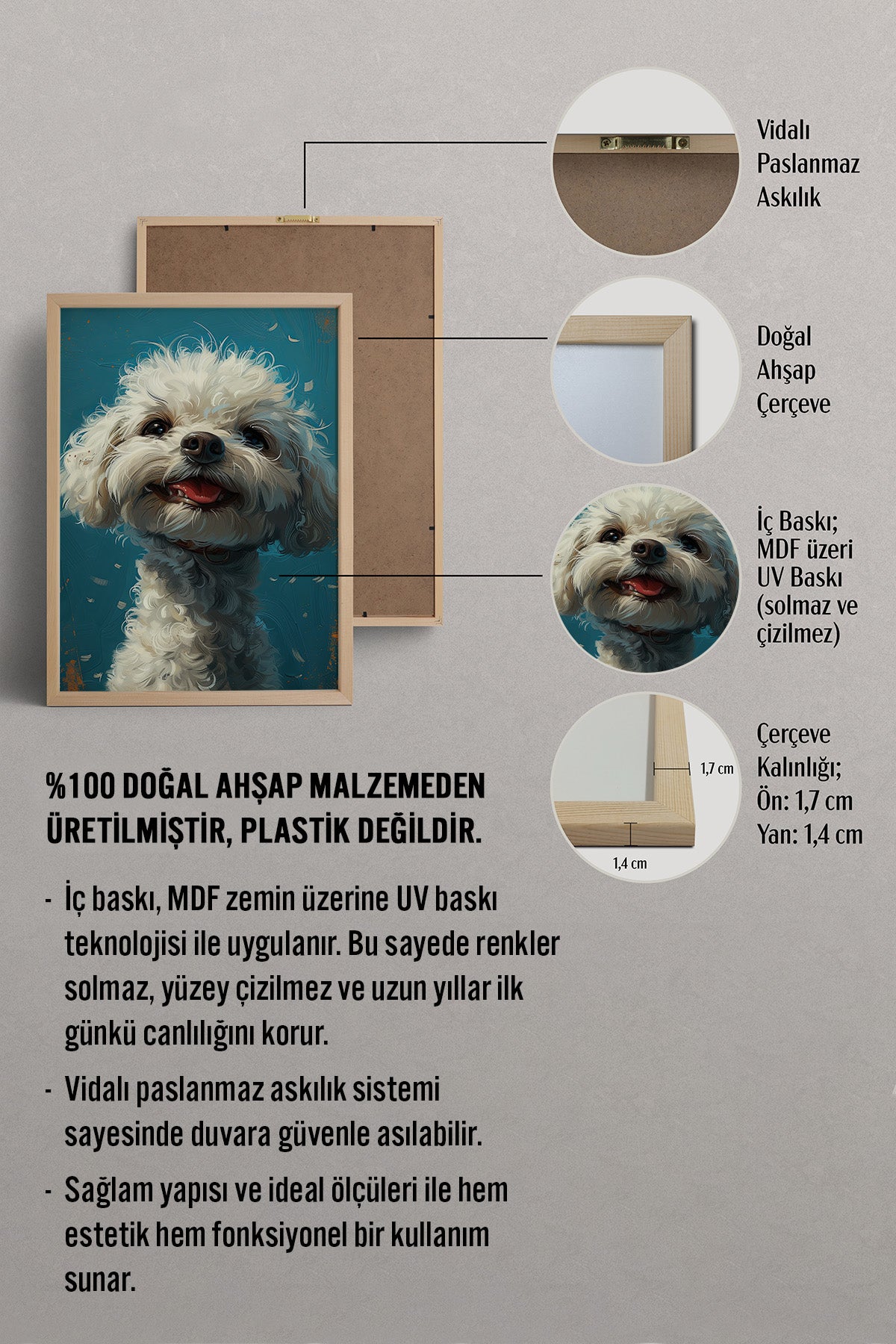 HOMEPACK Neşeli Bichon Frise Tablo  BEK-8607