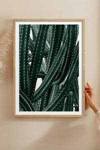HOMEPACK Ahşap Çerçeveli Tablo Çerçeveli Poster Sanatsal Modern Duvar Dekoru BEK-8067