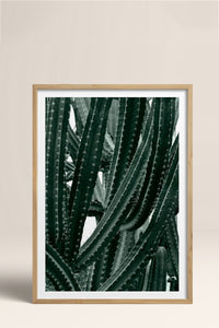 HOMEPACK Ahşap Çerçeveli Tablo Çerçeveli Poster Sanatsal Modern Duvar Dekoru BEK-8067