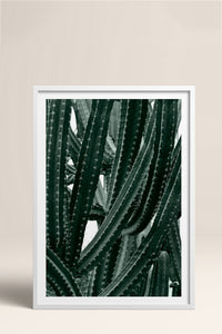 HOMEPACK Ahşap Çerçeveli Tablo Çerçeveli Poster Sanatsal Modern Duvar Dekoru BEK-8067