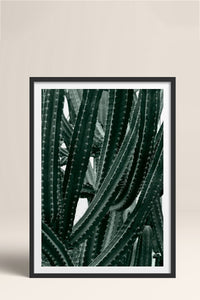 HOMEPACK Ahşap Çerçeveli Tablo Çerçeveli Poster Sanatsal Modern Duvar Dekoru BEK-8067