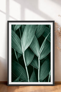 HOMEPACK Ahşap Çerçeveli Tablo Çerçeveli Poster Sanatsal Modern Duvar Dekoru BEK-8068