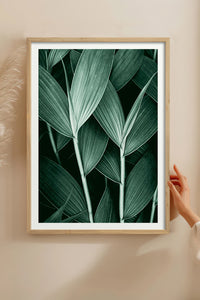 HOMEPACK Ahşap Çerçeveli Tablo Çerçeveli Poster Sanatsal Modern Duvar Dekoru BEK-8068