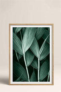 HOMEPACK Ahşap Çerçeveli Tablo Çerçeveli Poster Sanatsal Modern Duvar Dekoru BEK-8068