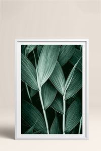 HOMEPACK Ahşap Çerçeveli Tablo Çerçeveli Poster Sanatsal Modern Duvar Dekoru BEK-8068