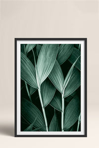 HOMEPACK Ahşap Çerçeveli Tablo Çerçeveli Poster Sanatsal Modern Duvar Dekoru BEK-8068