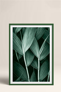 HOMEPACK Ahşap Çerçeveli Tablo Çerçeveli Poster Sanatsal Modern Duvar Dekoru BEK-8068