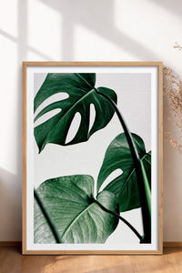 HOMEPACK Ahşap Çerçeveli Tablo Çerçeveli Poster Sanatsal Modern Duvar Dekoru BEK-8082