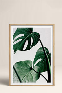 HOMEPACK Ahşap Çerçeveli Tablo Çerçeveli Poster Sanatsal Modern Duvar Dekoru BEK-8082
