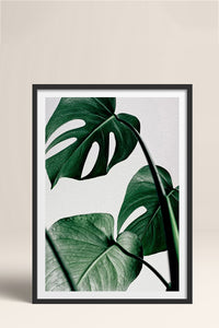 HOMEPACK Ahşap Çerçeveli Tablo Çerçeveli Poster Sanatsal Modern Duvar Dekoru BEK-8082