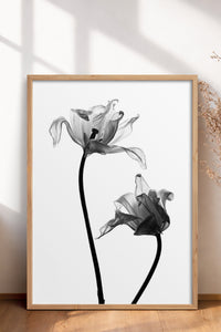 HOMEPACK Ahşap Çerçeveli Tablo Çerçeveli Poster Sanatsal Modern Duvar Dekoru BEK-8084
