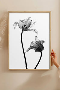 HOMEPACK Ahşap Çerçeveli Tablo Çerçeveli Poster Sanatsal Modern Duvar Dekoru BEK-8084