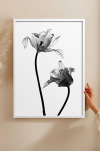 HOMEPACK Ahşap Çerçeveli Tablo Çerçeveli Poster Sanatsal Modern Duvar Dekoru BEK-8084