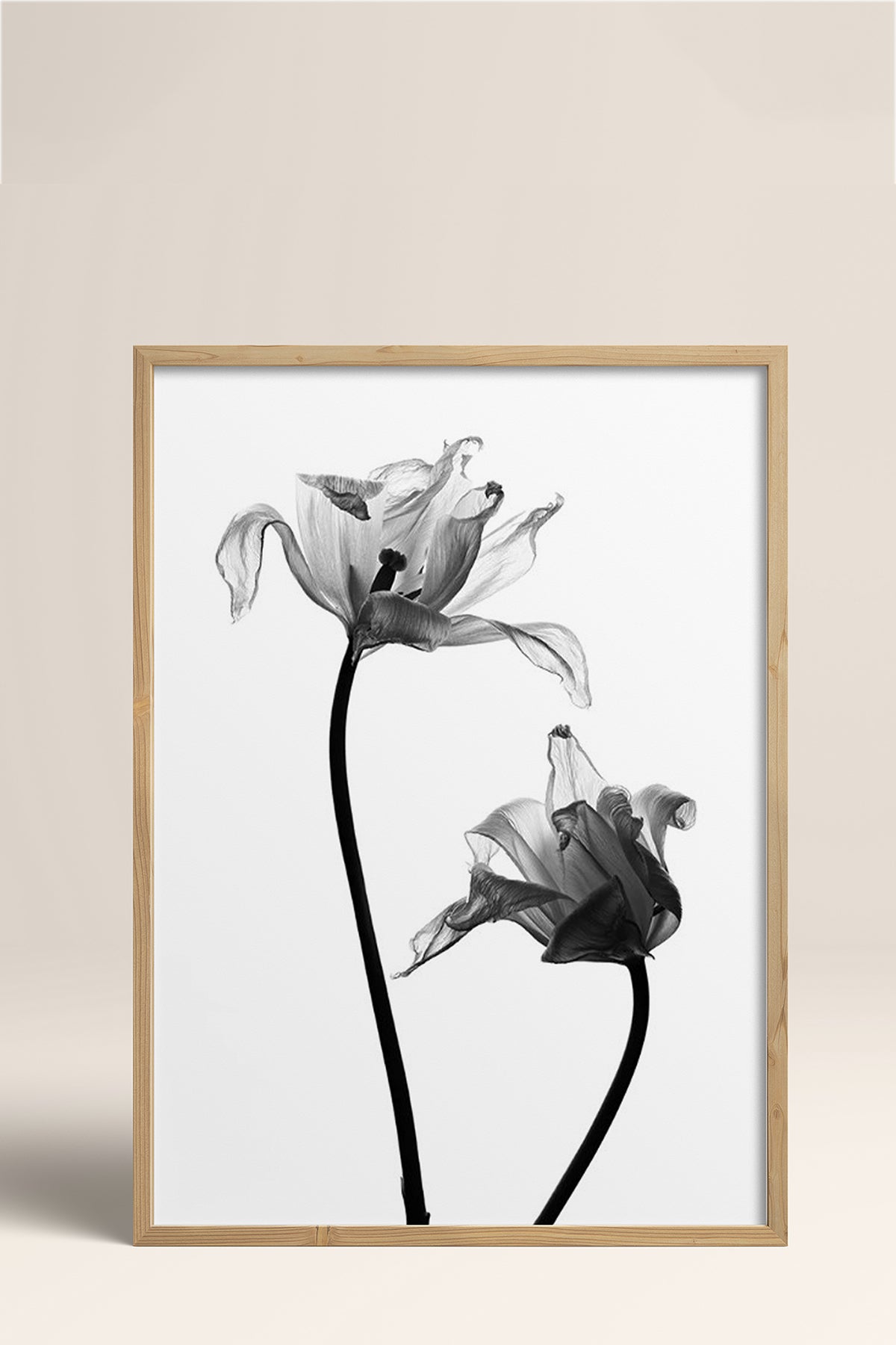 HOMEPACK Ahşap Çerçeveli Tablo Çerçeveli Poster Sanatsal Modern Duvar Dekoru BEK-8084