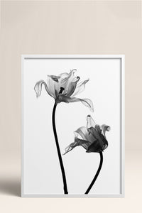 HOMEPACK Ahşap Çerçeveli Tablo Çerçeveli Poster Sanatsal Modern Duvar Dekoru BEK-8084