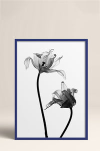 HOMEPACK Ahşap Çerçeveli Tablo Çerçeveli Poster Sanatsal Modern Duvar Dekoru BEK-8084