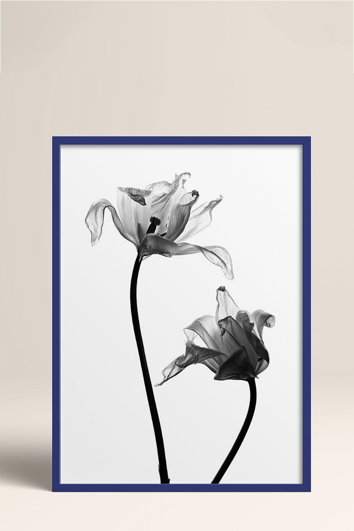 HOMEPACK Ahşap Çerçeveli Tablo Çerçeveli Poster Sanatsal Modern Duvar Dekoru BEK-8084