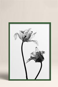 HOMEPACK Ahşap Çerçeveli Tablo Çerçeveli Poster Sanatsal Modern Duvar Dekoru BEK-8084