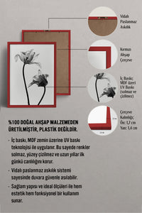 HOMEPACK Ahşap Çerçeveli Tablo Çerçeveli Poster Sanatsal Modern Duvar Dekoru BEK-8084