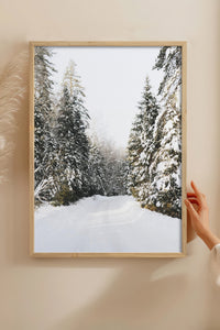 HOMEPACK Ahşap Çerçeveli Tablo Çerçeveli Poster Sanatsal Modern Duvar Dekoru BEK-8102