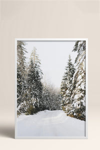 HOMEPACK Ahşap Çerçeveli Tablo Çerçeveli Poster Sanatsal Modern Duvar Dekoru BEK-8102