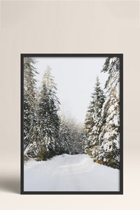 HOMEPACK Ahşap Çerçeveli Tablo Çerçeveli Poster Sanatsal Modern Duvar Dekoru BEK-8102