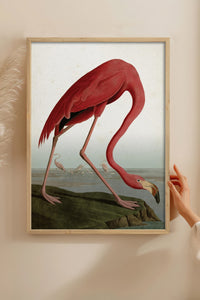 HOMEPACK Ahşap Çerçeveli Tablo Çerçeveli Poster Sanatsal Modern Duvar Dekoru BEK-8138