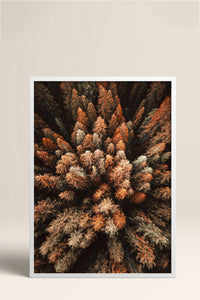 HOMEPACK Ahşap Çerçeveli Tablo Çerçeveli Poster Sanatsal Modern Duvar Dekoru BEK-8169