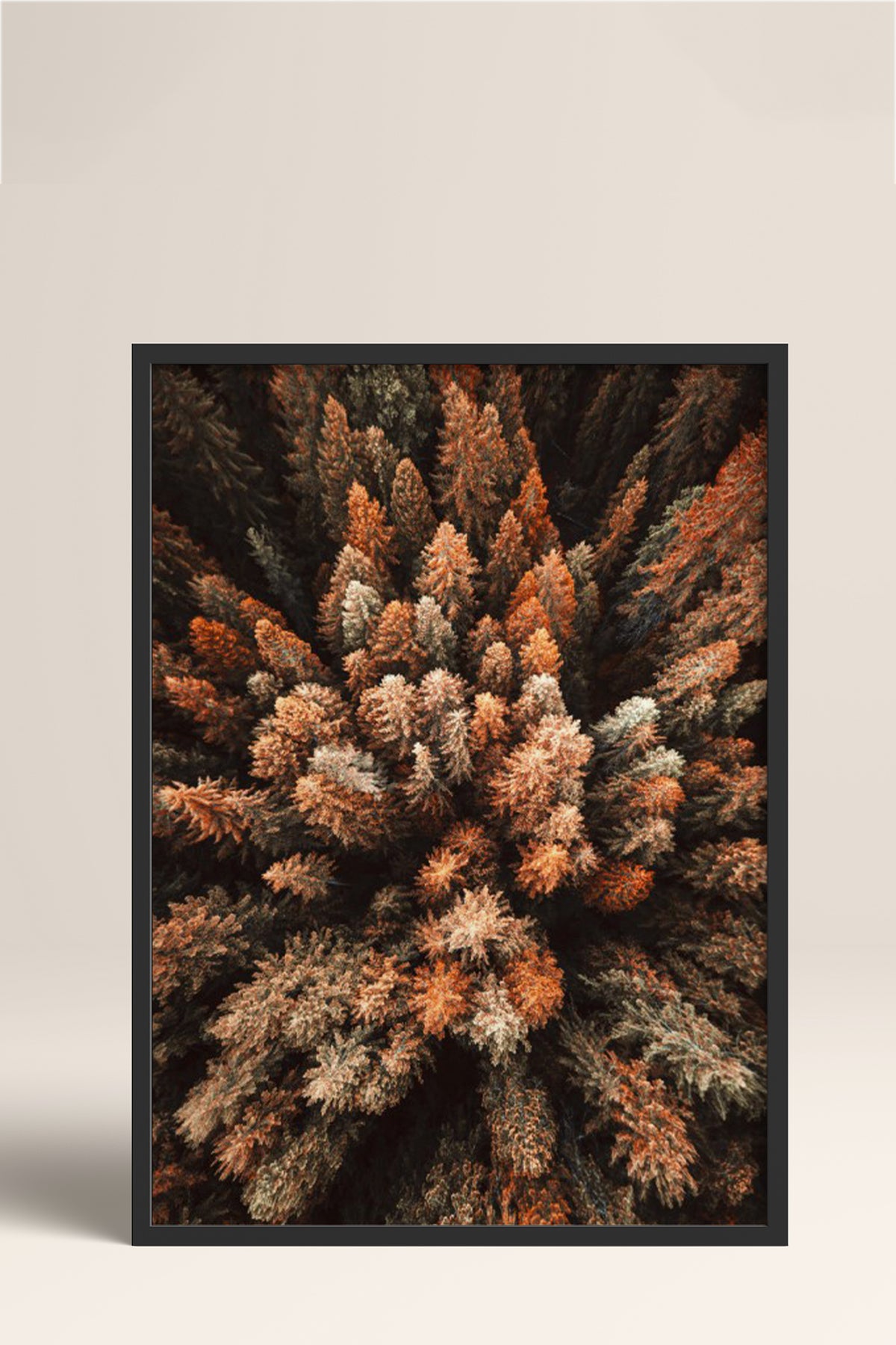 HOMEPACK Ahşap Çerçeveli Tablo Çerçeveli Poster Sanatsal Modern Duvar Dekoru BEK-8169