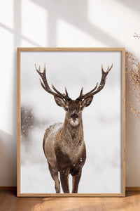 HOMEPACK Ahşap Çerçeveli Tablo Çerçeveli Poster Sanatsal Modern Duvar Dekoru BEK-8172