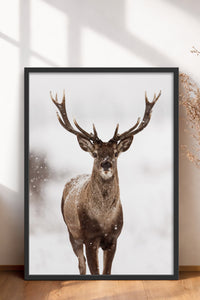 HOMEPACK Ahşap Çerçeveli Tablo Çerçeveli Poster Sanatsal Modern Duvar Dekoru BEK-8172