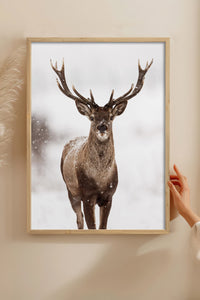 HOMEPACK Ahşap Çerçeveli Tablo Çerçeveli Poster Sanatsal Modern Duvar Dekoru BEK-8172