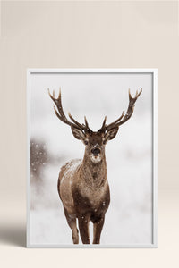 HOMEPACK Ahşap Çerçeveli Tablo Çerçeveli Poster Sanatsal Modern Duvar Dekoru BEK-8172