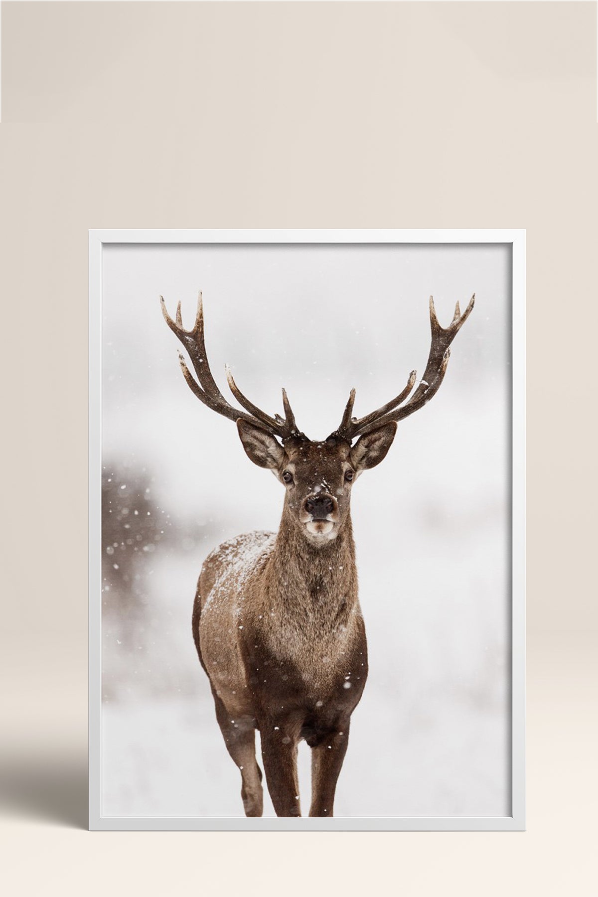 HOMEPACK Ahşap Çerçeveli Tablo Çerçeveli Poster Sanatsal Modern Duvar Dekoru BEK-8172