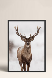 HOMEPACK Ahşap Çerçeveli Tablo Çerçeveli Poster Sanatsal Modern Duvar Dekoru BEK-8172