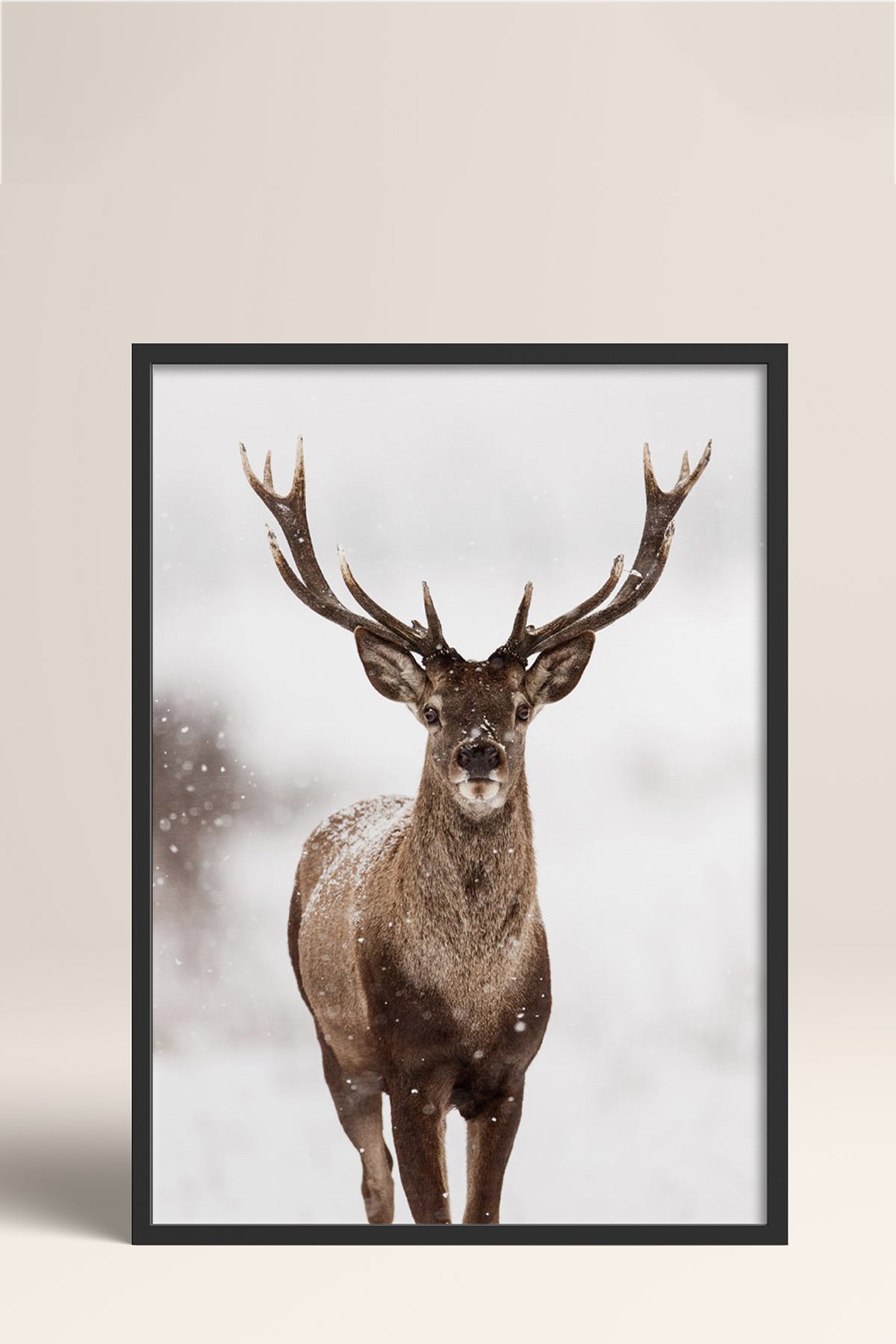 HOMEPACK Ahşap Çerçeveli Tablo Çerçeveli Poster Sanatsal Modern Duvar Dekoru BEK-8172