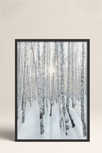 HOMEPACK Ahşap Çerçeveli Tablo Çerçeveli Poster Sanatsal Modern Duvar Dekoru BEK-8178