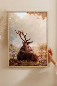 HOMEPACK Ahşap Çerçeveli Tablo Çerçeveli Poster Sanatsal Modern Duvar Dekoru BEK-8182