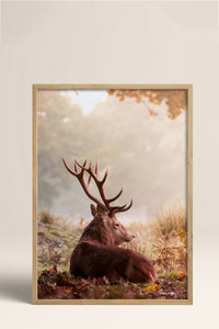 HOMEPACK Ahşap Çerçeveli Tablo Çerçeveli Poster Sanatsal Modern Duvar Dekoru BEK-8182