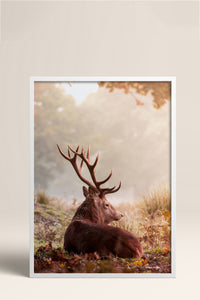 HOMEPACK Ahşap Çerçeveli Tablo Çerçeveli Poster Sanatsal Modern Duvar Dekoru BEK-8182
