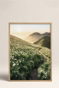 HOMEPACK Ahşap Çerçeveli Tablo Çerçeveli Poster Sanatsal Modern Duvar Dekoru BEK-8183