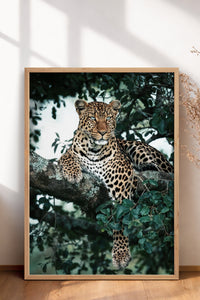 HOMEPACK Ahşap Çerçeveli Tablo Çerçeveli Poster Sanatsal Modern Duvar Dekoru BEK-8187