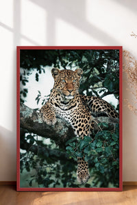 HOMEPACK Ahşap Çerçeveli Tablo Çerçeveli Poster Sanatsal Modern Duvar Dekoru BEK-8187