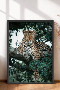 HOMEPACK Ahşap Çerçeveli Tablo Çerçeveli Poster Sanatsal Modern Duvar Dekoru BEK-8187