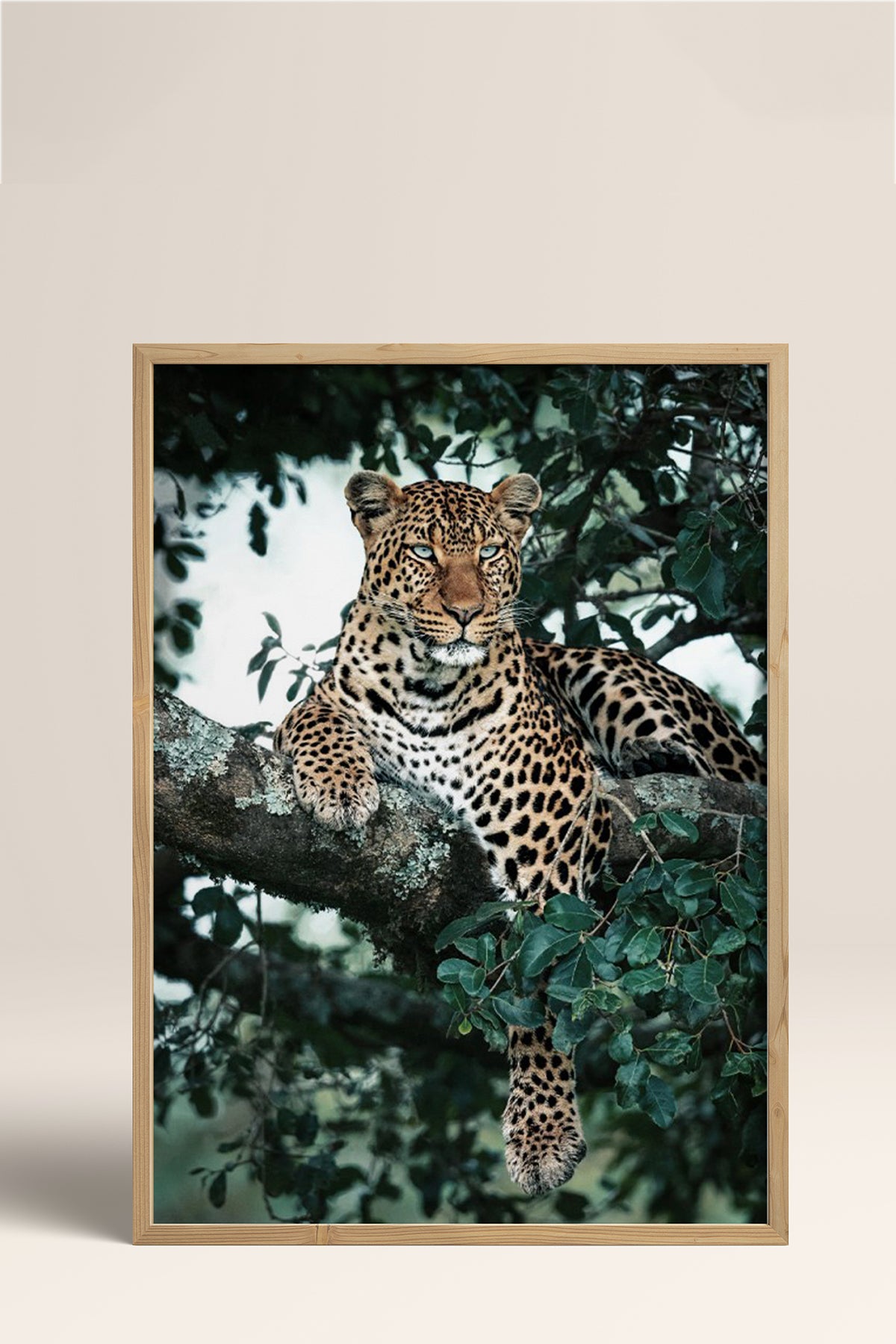 HOMEPACK Ahşap Çerçeveli Tablo Çerçeveli Poster Sanatsal Modern Duvar Dekoru BEK-8187