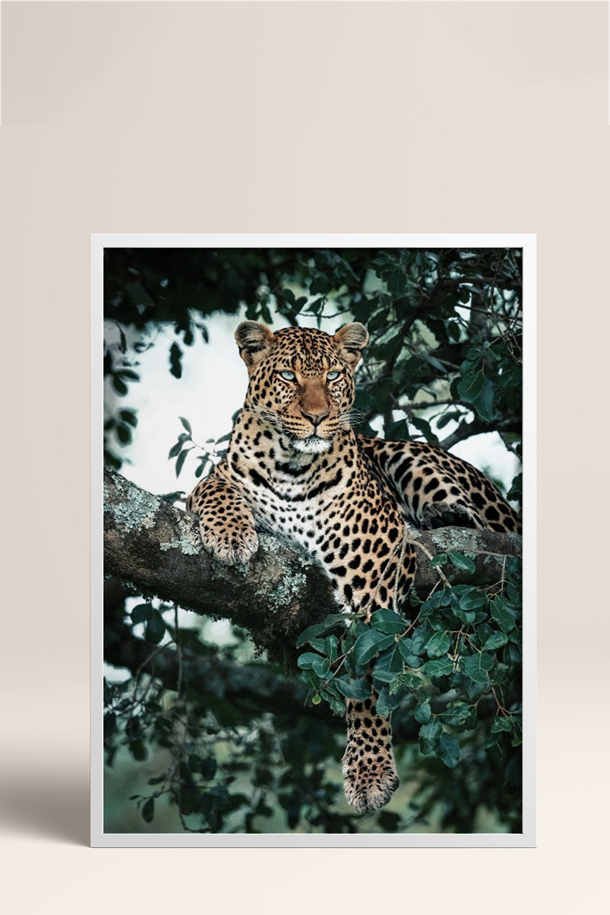 HOMEPACK Ahşap Çerçeveli Tablo Çerçeveli Poster Sanatsal Modern Duvar Dekoru BEK-8187